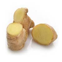 Manufacturers Exporters and Wholesale Suppliers of Fresh Ginger Thiruvalla Kerala